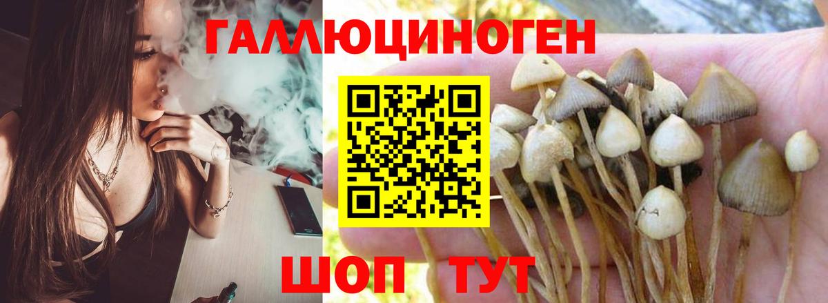 Мытищи  Псилоцибиновые грибы ЛСД  Вход с VPN  Галлюциногенные грибы Psilocybe 